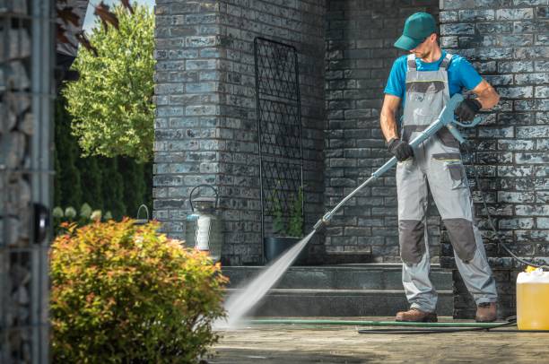 Best Building Exterior Washing  in Waverly, MN