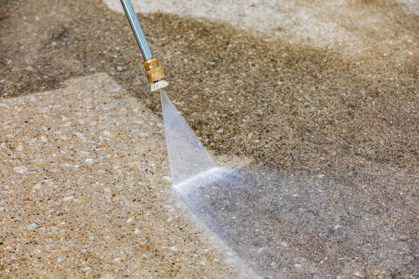 Best Roof Washing  in Waverly, MN