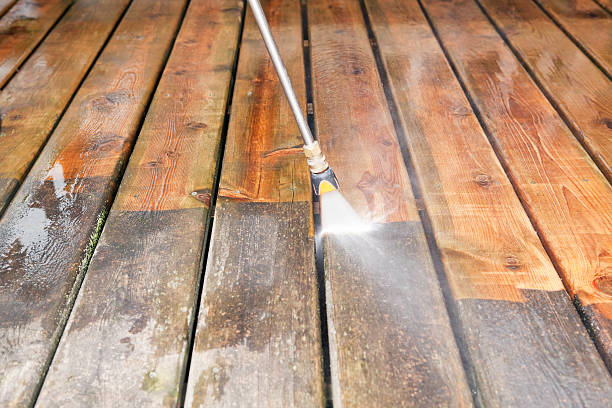 Best Pool Deck Cleaning  in Waverly, MN